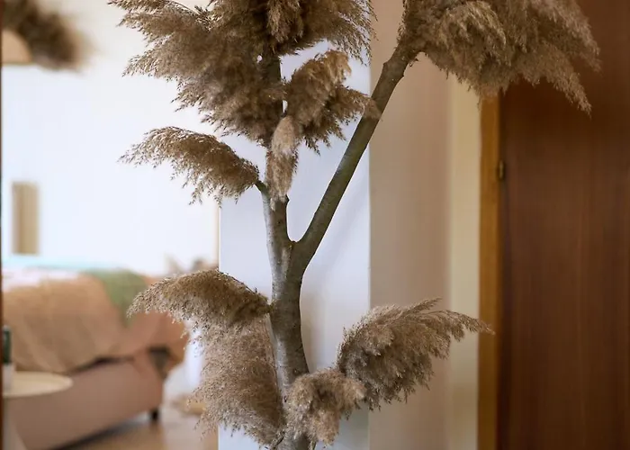 Appartement Casa La Luna Del Sol Poros (Kefalonia)