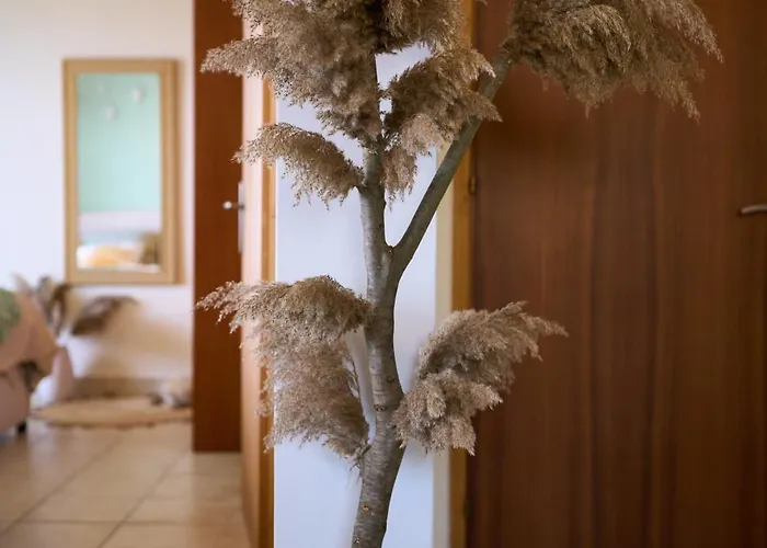 Casa La Luna Del Sol *