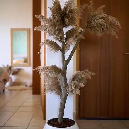 Casa La Luna Del Sol *